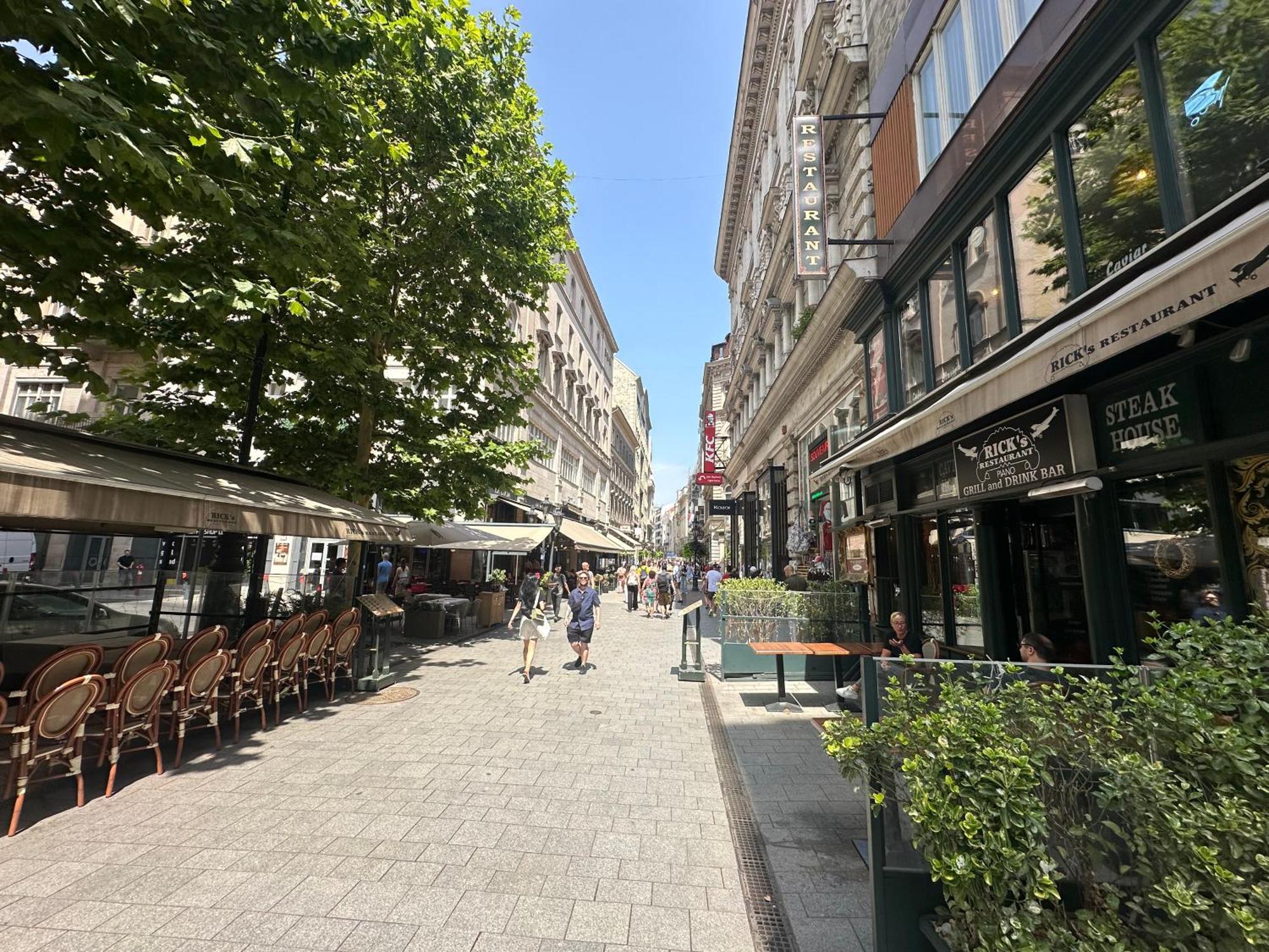 Bright Apartment In The Most Beautiful Street Of Budapest Vaci Street, Fashion Street בודפשט מראה חיצוני תמונה